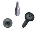 Picture for category Security Rack Screws